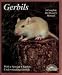 Gerbils: Everything About Purchase, Care, Nutrition, Diseases, Breeding, and Behavior/a Complete Pet Owner's Manual (Barron's Pet Care Series)