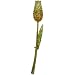 Yellowtulip Rhinestone Flower Pin Brooch