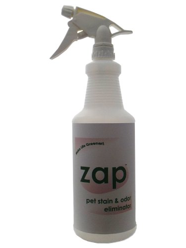 ZAP Pet Stain and Odor Remover GREEN, Non-Toxic & Environmentally Friendly Cleaner
