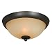 Hardware House 543744 Berkshire 12-Inch by 5-1/4-Inch Ceiling Lighting Fixture, Oil-Rubbed Bronze