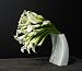 Lilies - La Danseuse