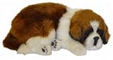 Life-like Curled Up Sleeping St Bernard Puppy Decoration
