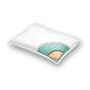 Homedics Hmp-sfcl Smart Foam Microfiber Pillow