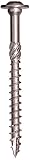 GRK 772691302250 Pheinox RSS 5/16 by 4-Inch Bulk Box Screw, 400-Piece [並行輸入品]