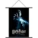 Harry Potter Order of The Phoenix Wall Scroll Poster