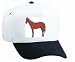White Cap with horse, equine, animal