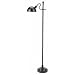 Personal Health Care : Legacy Deluxe Floor Lamp