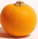 Sugar Pie Pumpkin Seed - Packet of Heirloom Seeds