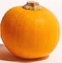 Sugar Pie Pumpkin Heirloom Seeds 45 Seeds
