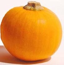 Sugar Pie Pumpkin Heirloom Seeds 45 Seeds