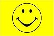 3 x 5 Feet SMILEY FACE Nylon - indoor Specialty Flag Made in US.