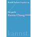Die gro�e Karma-�bung: Werde ein Mensch mit Initiative: Perspektiven