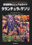 節足動物ビジュアルガイド タランチュラ&サソリ (節足動物ビジュアルガイド)