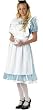 Adult Classic Alice in Wonderland Costume