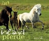 Islandpferde 2009