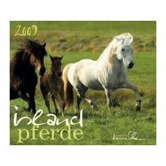 Island Pferde 2009