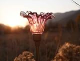 Decorative Solar Lighted Flower Stake - Magenta Blossom