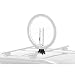 Thule 593 Wheel-On Rooftop Bicycle Wheel Carrier