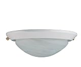 Two Light Low Profile in White