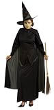 Wizard of Oz - Wicked Witch Adult Halloween Costume Size Standard