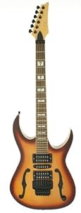 Jinyin Model E450 Electric Guitar