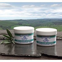 Dorwest Herbs Roast Dinner Cat Dog Toothpaste 200g