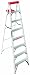 Black & Decker BXL2210-08  8-Feet  225 Pound Duty Rating Aluminum Step Ladder Type II