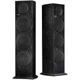Pioneer SP-FS51-LR Floorstanding Loudspeakers (Black, Pair)