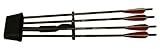 Barnett® Revolution / Quad 400 Quiver with four 22" arrows