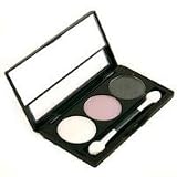 PALLADIO VINTAGE EYESHADOW TRIOS WITH ANGLER, FLAT, EYE BLENDING and SMUDGE BRUSHES PTS01 - B000GBN0SC