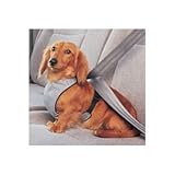 ACX ybg Z[teB n[lX S PDH-S O[ ^p