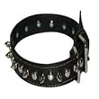 Top Dog Spiked Black Leather Dog Collar 1 x 22 inch Top Dog Spiked Black Leather Dog Collar 1 x 22 inch