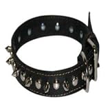 1 Spiked Black Leather Collar (Fits neck size 17-20)