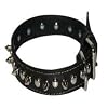 Top Dog Spiked Black Leather Dog Collar 1 x 18 inch