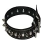 1" Spiked Black Leather Collar (Fits neck size 17"-20")