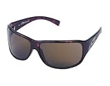 Anarchy Prosecution Tortoise Brown Sunglasses