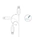 [Apple MFI Certified] Delippo Lightning USB Cable 3.3ft/1m Sturdy Sync Charge Cord for Apple iPhone 7 6/6s/6 Plus/ 5S/5C/5 iPad Air Ipod Series PowerLine