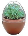 Micro-Terrariums-Cat's Fav