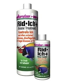 Rid-Ich - 16 oz. by KORDON