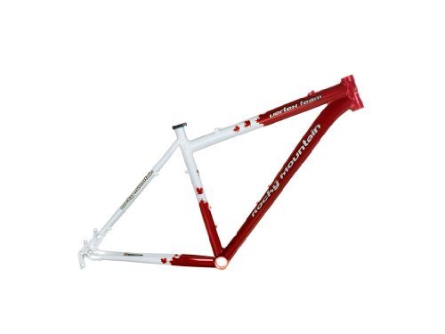 Rocky Mountain MTB Rahmen Rahmen Vertex Team (2008)
