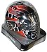 Sporting Goods : Philadelphia Flyers Mini Goalie Mask (Quantity of 1)