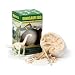 GeoCentral Dinosaur Egg Excavation & Assembly Kit - Spinosaurus