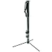 Manfrotto 682B Self Standing Monopod (Black)