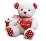 Valentine's Day "I LOVE YOU" Red & White Teddy Bear Plush