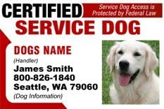 PERSONALIZE Dean &amp; Tyler CERTIFIED SERVICE DOG ID Badge - 1 Dog's Custom ID Badge - Design#5- Horizontal.