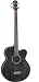 Michael Kelly Dragonfly 4 Smokeburst Acoustic Bass Guitar