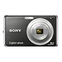 Sony Cybershot DSC-W190 12.1MP Digital Camera with 3x Super Steady Shot Stabilized Zoom and 2.7 inch LCD (Black)