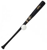 Easton Pro Stix Training Set