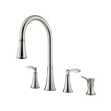 Pfister F5314PAS Petaluma Double Handle Pull-Down Kitchen Faucet, Stainless Steel
