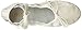Bloch Dance Women's Prolite II Split Sole Leather Ballet Slipper/Shoe